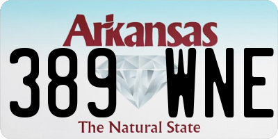 AR license plate 389WNE
