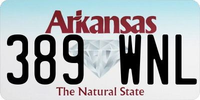 AR license plate 389WNL