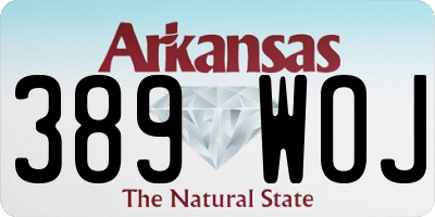 AR license plate 389WOJ