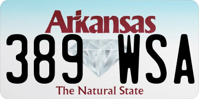 AR license plate 389WSA