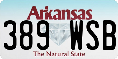 AR license plate 389WSB