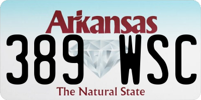 AR license plate 389WSC