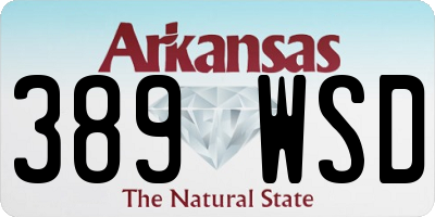 AR license plate 389WSD