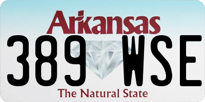 AR license plate 389WSE