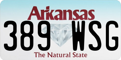 AR license plate 389WSG