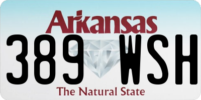 AR license plate 389WSH
