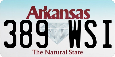 AR license plate 389WSI
