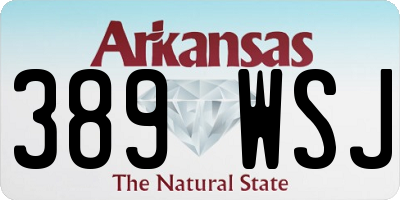 AR license plate 389WSJ