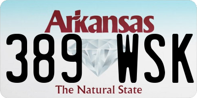 AR license plate 389WSK