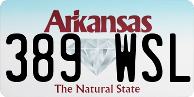 AR license plate 389WSL
