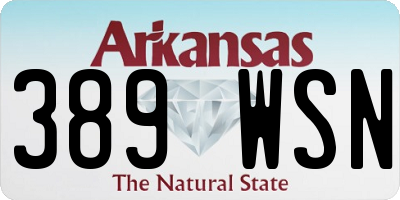 AR license plate 389WSN