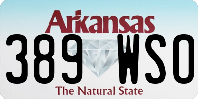 AR license plate 389WSO