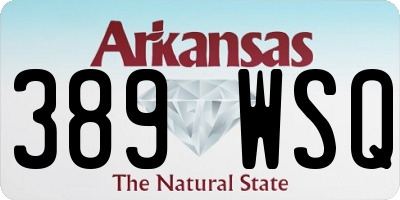 AR license plate 389WSQ