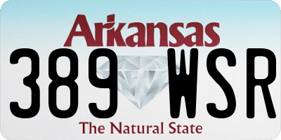 AR license plate 389WSR