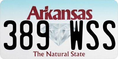 AR license plate 389WSS