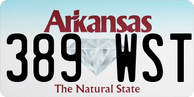 AR license plate 389WST