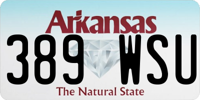 AR license plate 389WSU