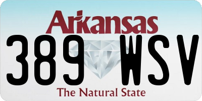 AR license plate 389WSV