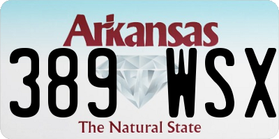 AR license plate 389WSX