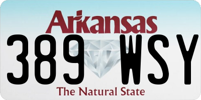 AR license plate 389WSY