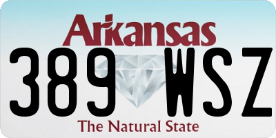 AR license plate 389WSZ