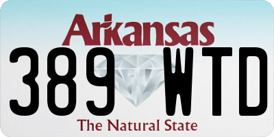 AR license plate 389WTD