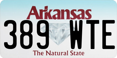 AR license plate 389WTE
