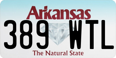 AR license plate 389WTL