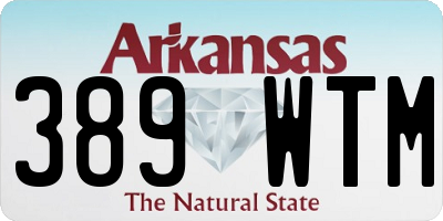 AR license plate 389WTM