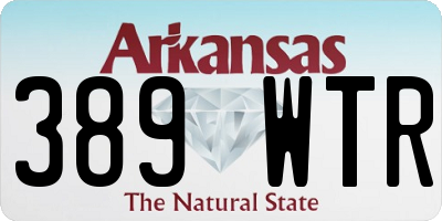 AR license plate 389WTR