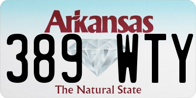 AR license plate 389WTY