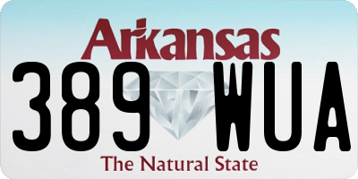 AR license plate 389WUA