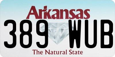 AR license plate 389WUB