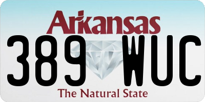 AR license plate 389WUC