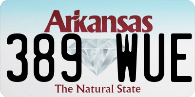 AR license plate 389WUE