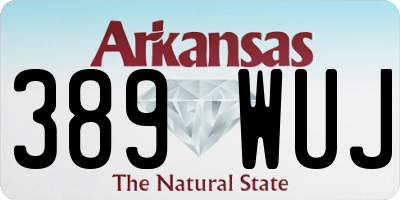 AR license plate 389WUJ