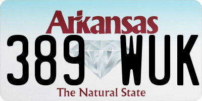 AR license plate 389WUK