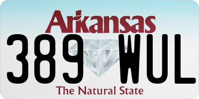 AR license plate 389WUL