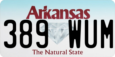 AR license plate 389WUM