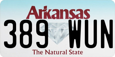 AR license plate 389WUN