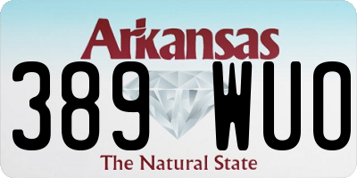 AR license plate 389WUO