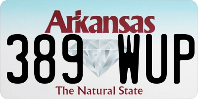 AR license plate 389WUP
