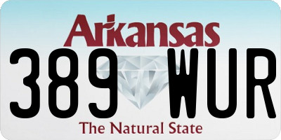 AR license plate 389WUR