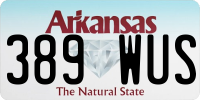 AR license plate 389WUS