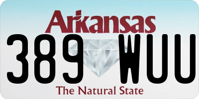 AR license plate 389WUU