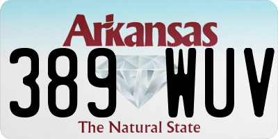 AR license plate 389WUV