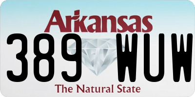 AR license plate 389WUW