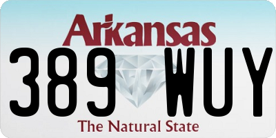 AR license plate 389WUY