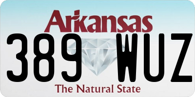 AR license plate 389WUZ
