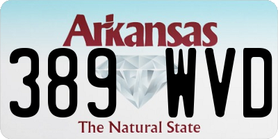 AR license plate 389WVD